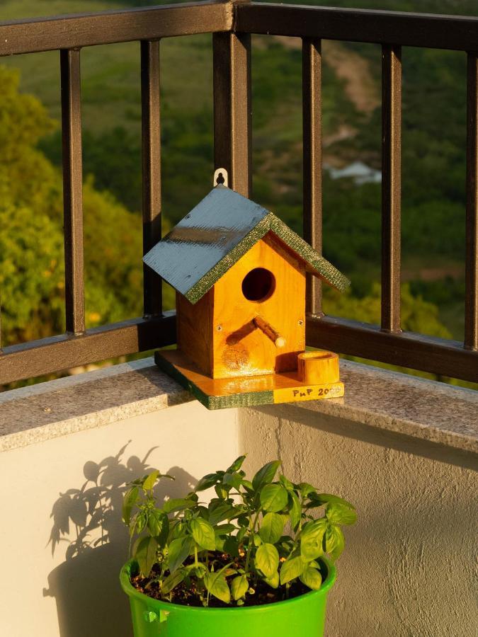 Apartment Village House Ravno Dış mekan fotoğraf