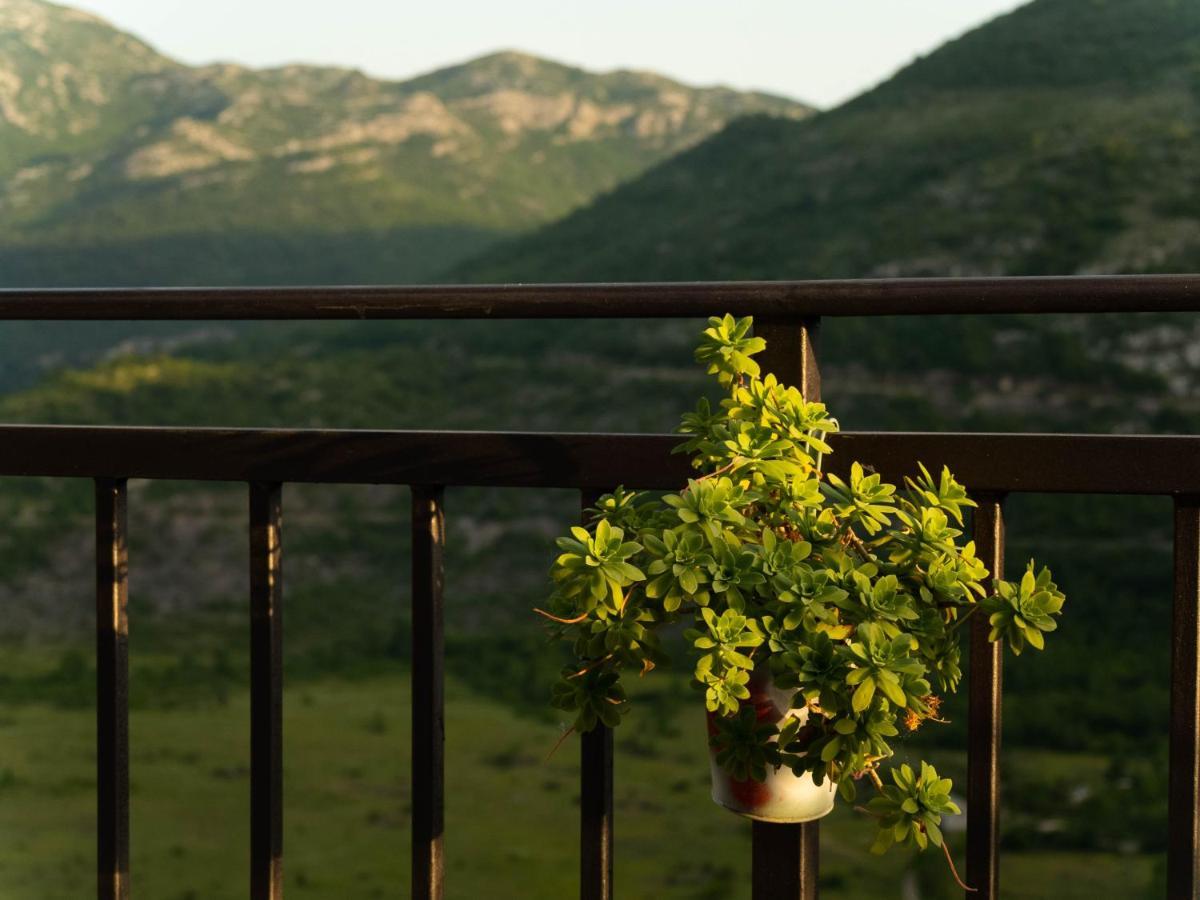 Apartment Village House Ravno Dış mekan fotoğraf
