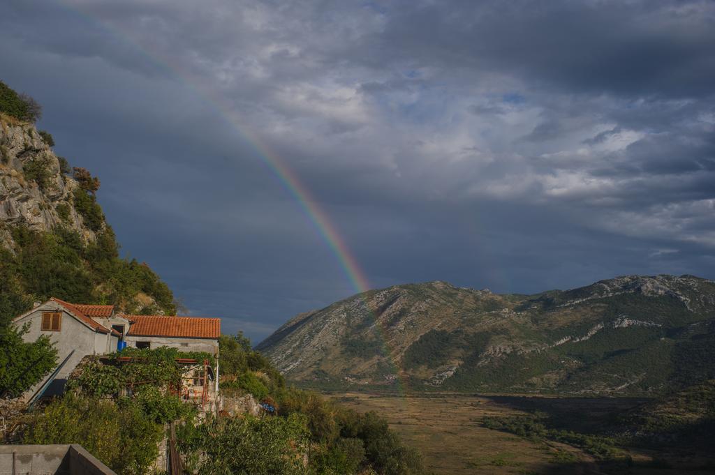 Apartment Village House Ravno Dış mekan fotoğraf