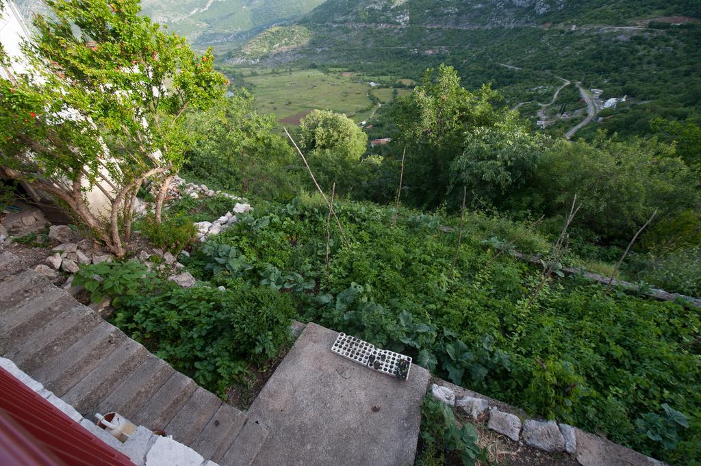 Apartment Village House Ravno Dış mekan fotoğraf